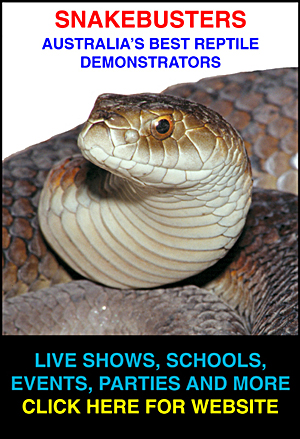 Australia's best reptile shows, Melbourne.