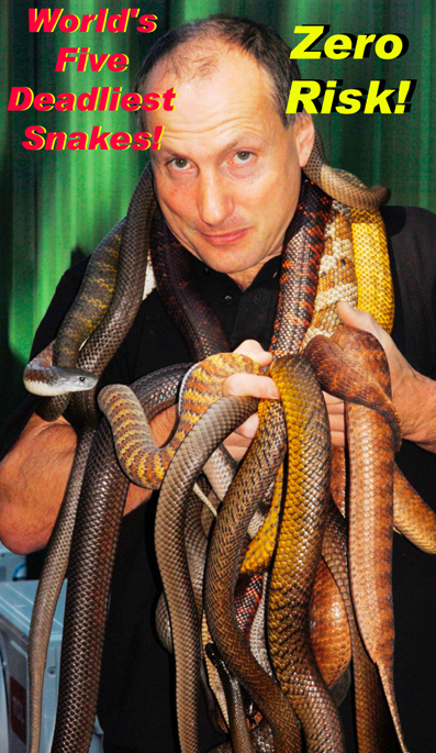 venomous snake bites that 2011