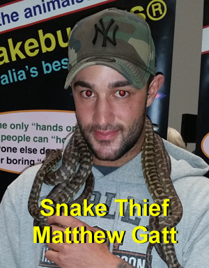 Reptile thief, Matthew Christopher Gatt