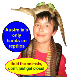 Reptile displays Melbourne