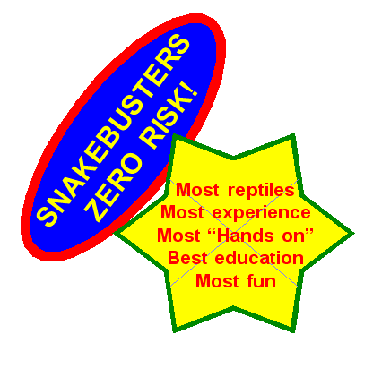Educational reptile research papers