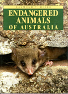 This was the book you should buy ... It had a Mountain Pigmy Possum - Burramys parvus - on the cover and is a definitive work on the subject.  But it is now available on CD-rom! Click here for further details.